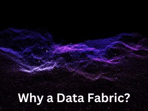 Why a Data Fabric